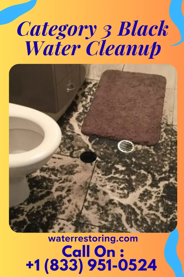 Category 3 Black Water Cleanup in La Crosse, IN