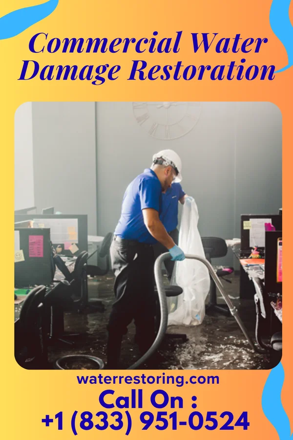 Commercial Water Damage Restoration in La Crosse, IN