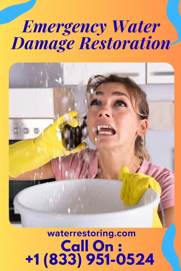 Emergency Water Damage Restoration in La Crosse, IN