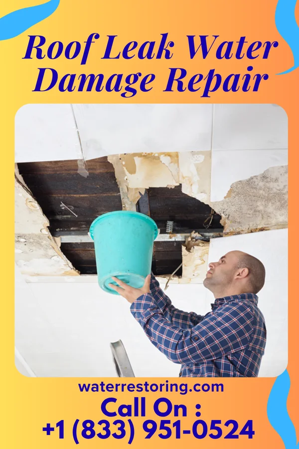 Roof Leak Water Damage Repair in La Crosse, IN