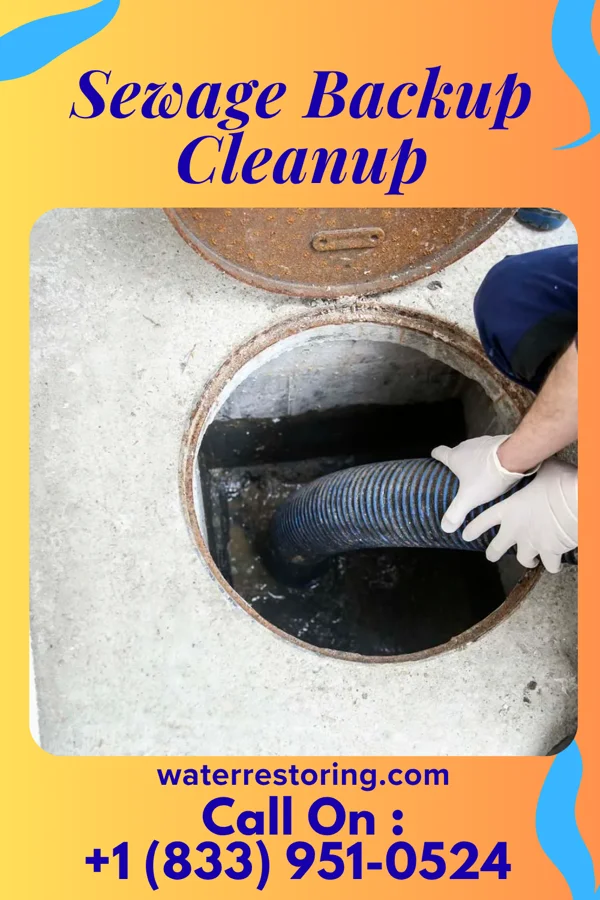 Sewage Backup Cleanup in La Crosse, IN